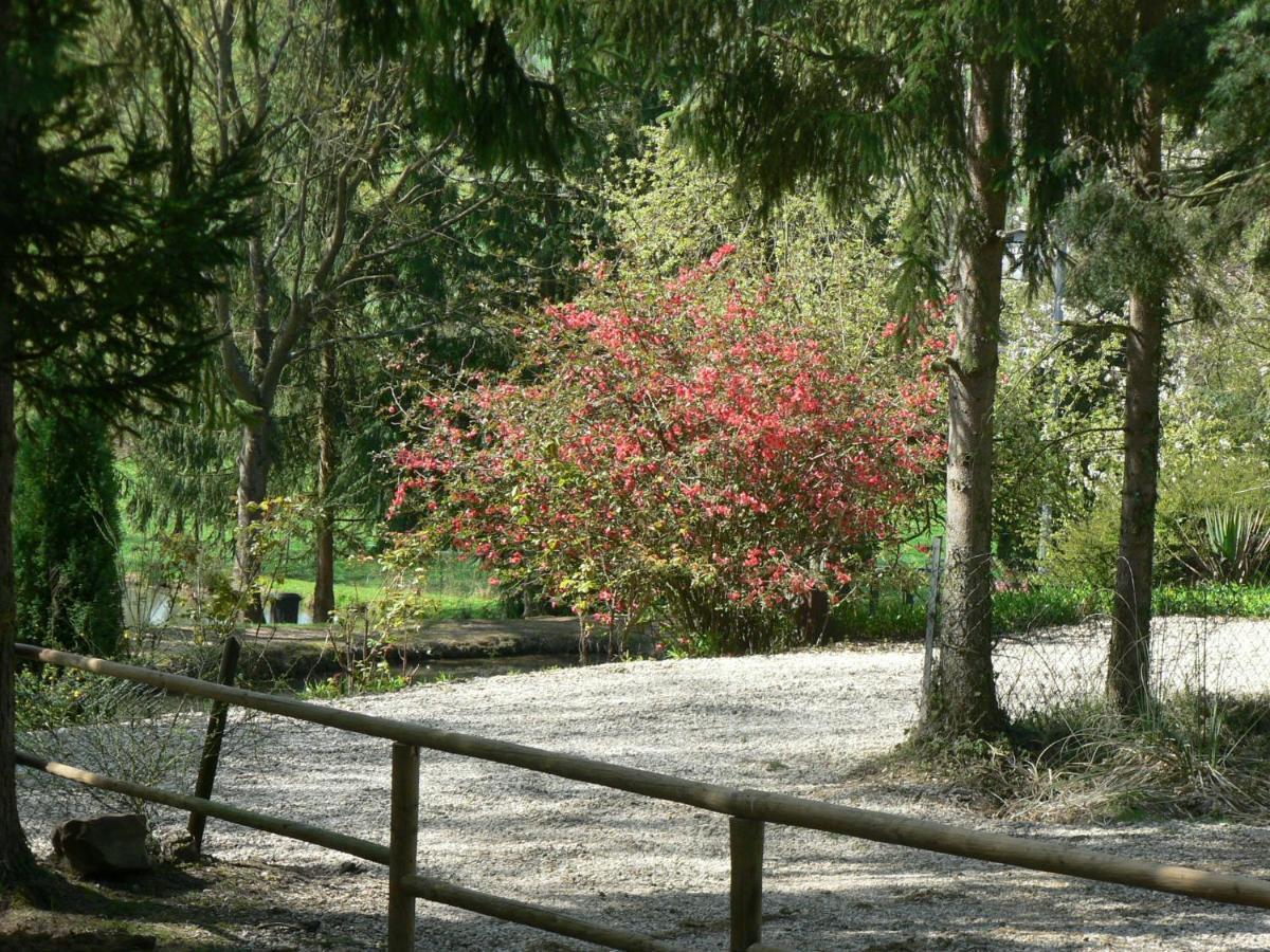 Etangs du Moulin Hotel Suzy Ruang foto